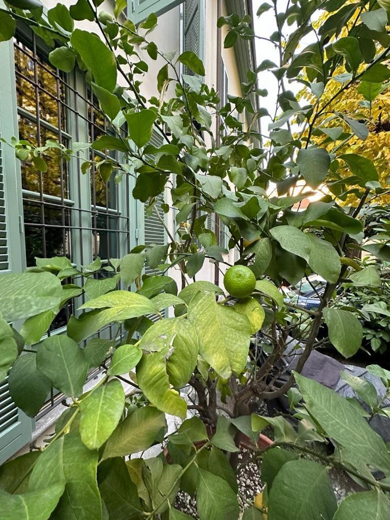 Della Rocca Urban Relais Apartman Torino Kültér fotó